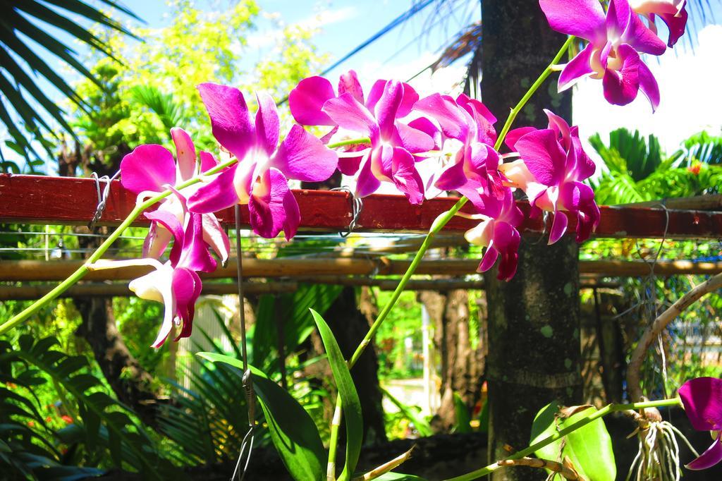 Kampot Guesthouse Екстер'єр фото